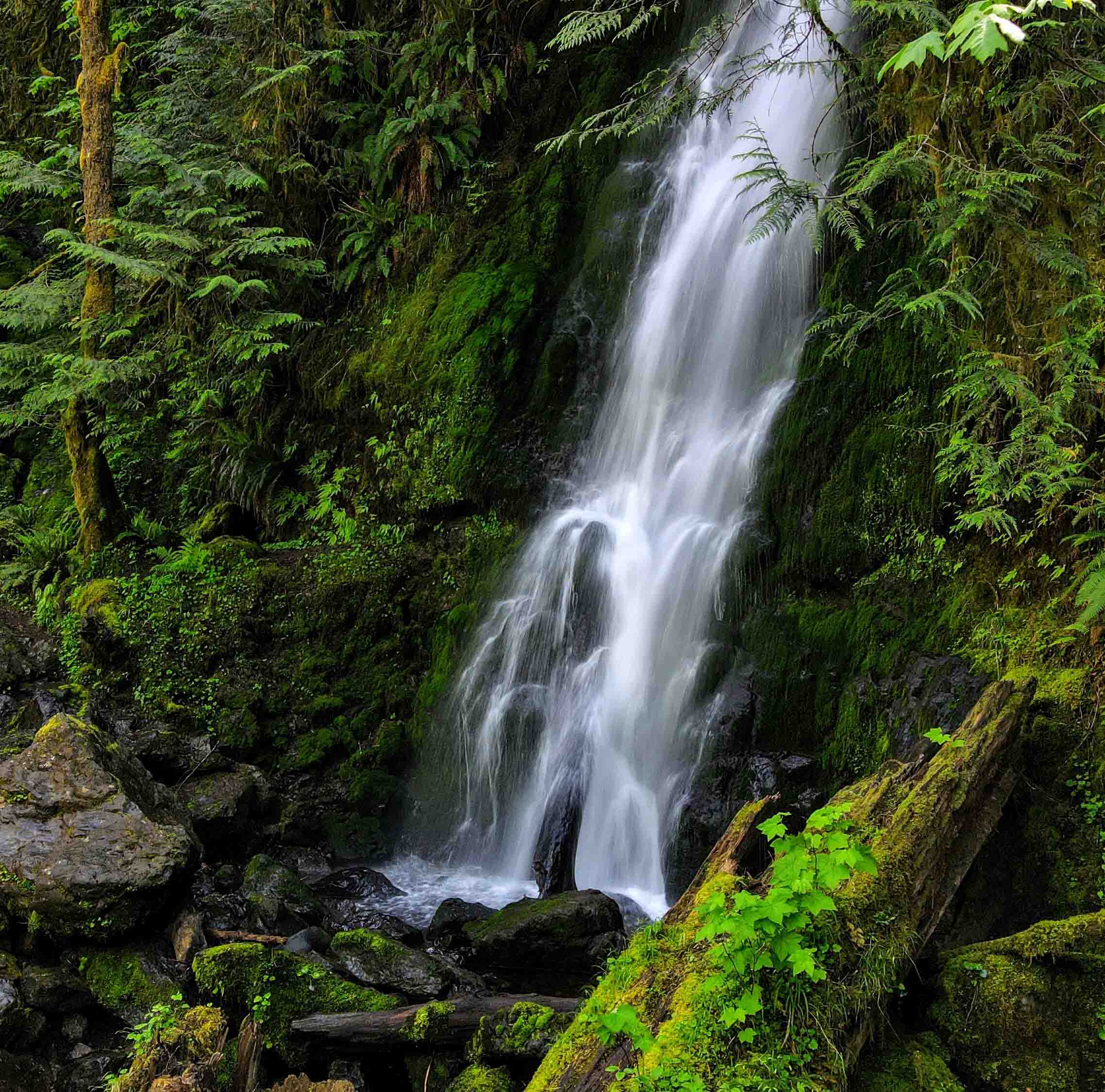 a small waterfall in a green forest